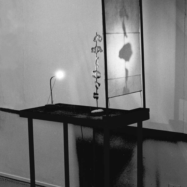 INSTALACIÓN LUMINOSA - 1995 - FERRO, MADEIRA, PAPEL HECHO A MANO, LÁMPARA - FERRO, MADEIRA, PAPEL FEITO À MÃO, LAMPADA - 100 m x 0,60 m x 2,00 m