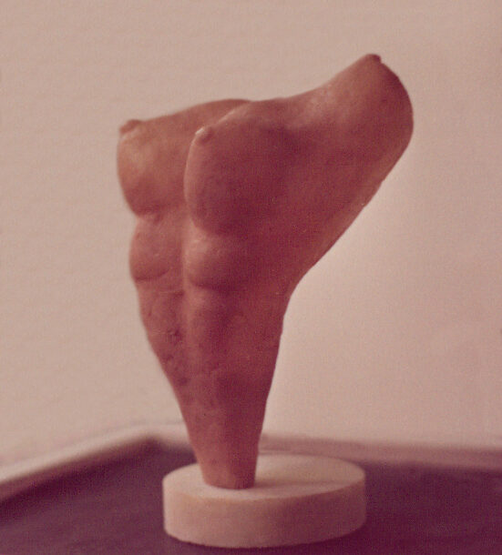 ASOCIACIÓN DE FORMAS GRATAS I - 1977 -  ACRÍLICO -  0,11 m x 0,13 m x 0,22 m