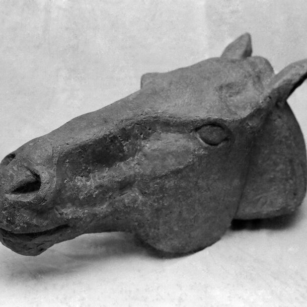 CABEZA DE CABALLO - 1976 - CEMENTO PATINADO -  0,22 m x 0,29 m x 0,58 m