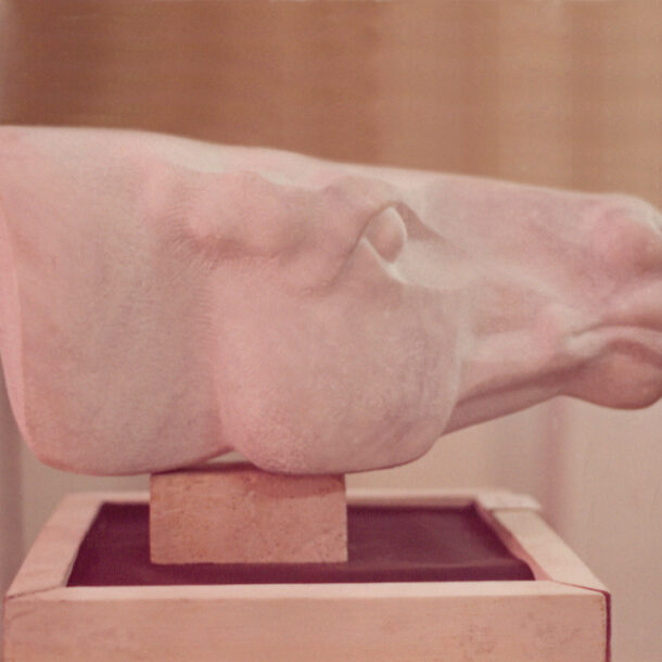 CABEZA DE CABALLO III - 1979 - MÁRMOL DE CARRARA - 0,21 m x 0,26 m x 0,56 m - Segundo Premio, "Salón de Artes Plasticas Vendimia 80", Mendoza