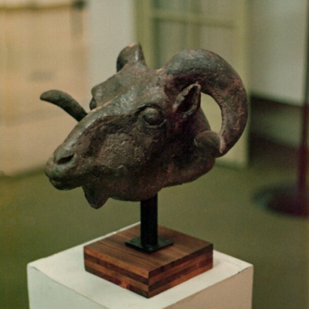 CABEZA DE CARNERO I - 1978 - ACRÍLICO - 0,45 m x 0,45 m x 0,30 m - Premio Secretaria de Cultura, Tercer Salón Anual Cerealista - Buenos Aires, agosto de 1979