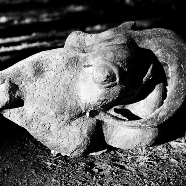 CABEZA DE CARNERO II - 1980 - ACRÍLICO - 0,65 m x 0,75 m x 1,10 m -  Segunda Mención. VI Certamen Bienal de Escultura y Cerámica - Mendoza, 1980. Mención. Salón de Nueva Pompeya - Buenos Aires, 1982