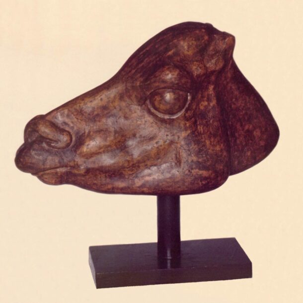 CABEZA DE VICUÑA - 1977 - CEMENTO PATINADO - 0,30 m x 0,42 m x 0,70 m - Primer Premio Adquisición "Salón Primavera de San Juan"