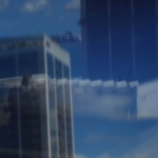 LEME, MERIDIAM 1 - 2010