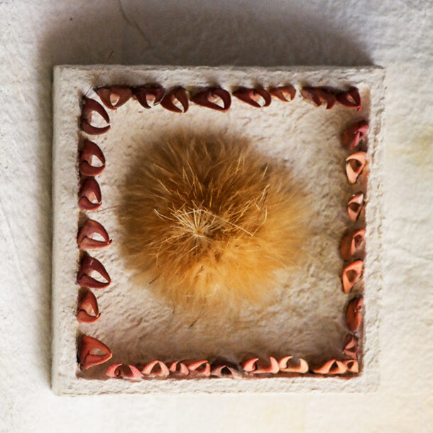 SOBRE CUSTODIA - 1990 - PATAS DE CARANGUEIJO, ALCACHOFRA E PAPEL FEITO À MÃO - 0,23 m x 0,23 m x 0,05 m