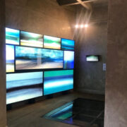 IMG_5-9624